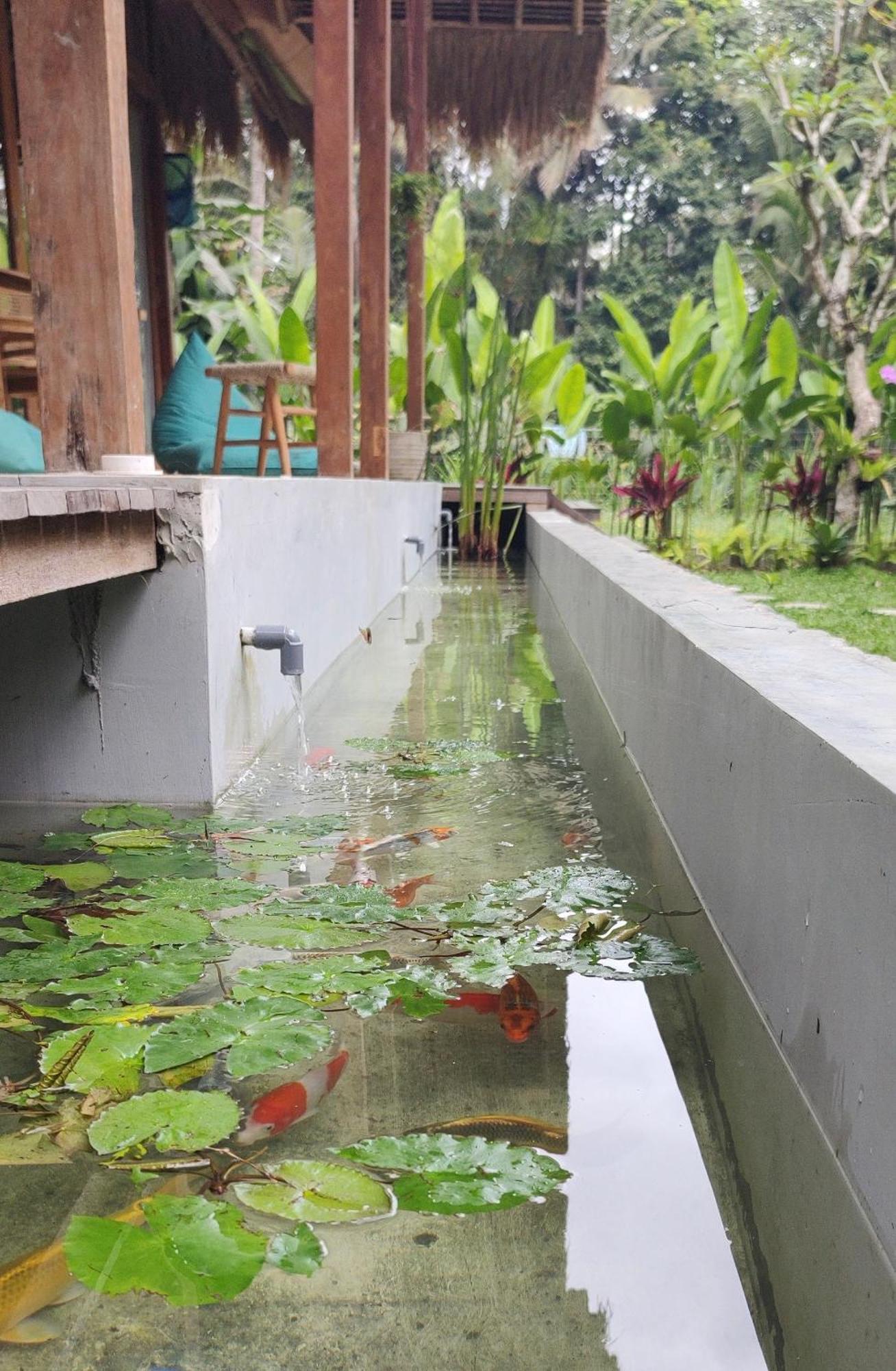 Rumah Guci อูบุด ภายนอก รูปภาพ
